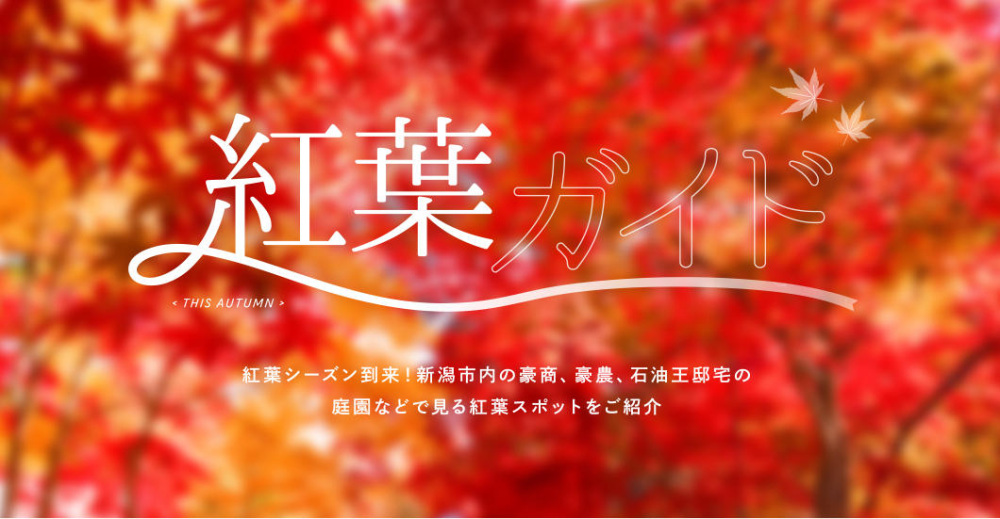 【2026年】もみじが赤く染まる紅葉シーズン!新潟市内のおすすめ紅葉スポットのご紹介!