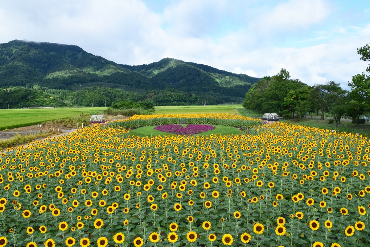 上堰潟公園