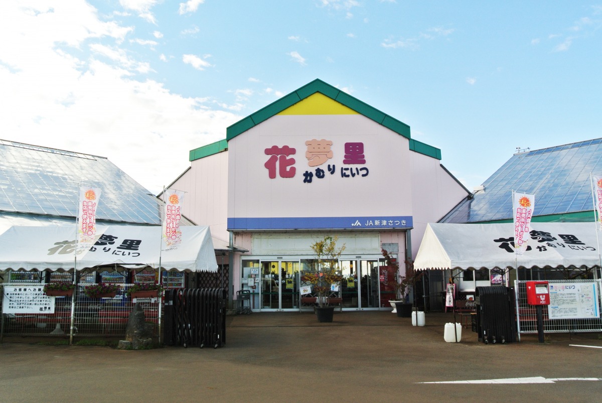 道の駅 花夢里にいつ