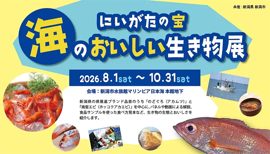 【マリンピア日本海 企画展示】にいがたの宝 海のおいしい生き物展